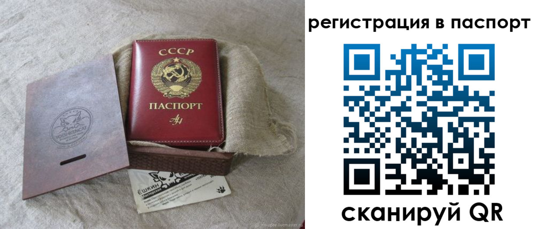 где прописаться в Камызяке